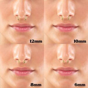 Drperfect Septum Jewelry 16G 14G 6MM 8MM 10MM 12MM Stainless Steel Silver Rose Gold Black Horseshoe Septum Nose Ring for Women Men Septum Piercing Jewelry