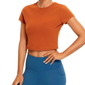 CRZ YOGA Butterluxe Short Sleeve Shirts for Women High Neck Crop Tops Basic Fitted T-Shirt Gym Workout Top Willow Large