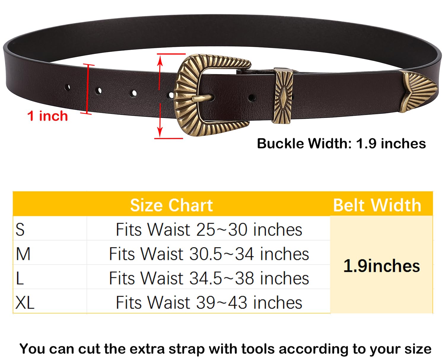 ALAIX Belts for women Women's Belts Silver Gold Buckle leather belts Black Western belts Jeans Pants belts for women