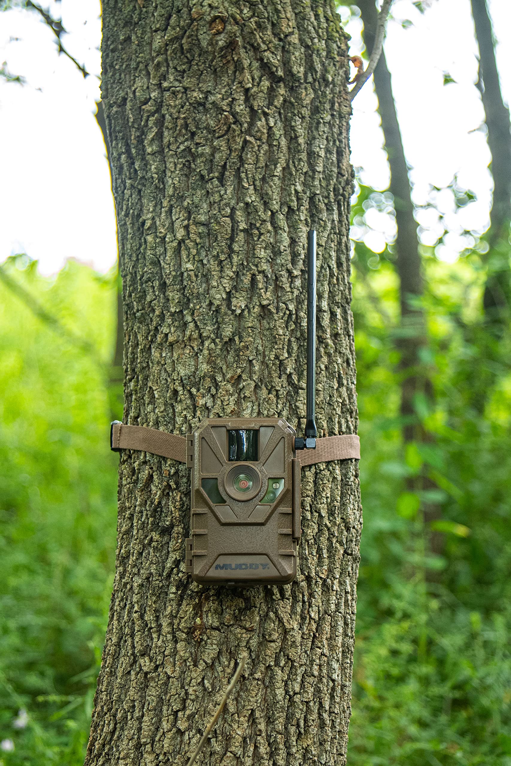 Muddy Outdoor Manifest 2.0 Cellular Trail Camera, Quick SCAN AR Code, 16 MEGAPIXELS, AT&T and VERIZON, Stealth CAM Command APP (MUD-ATW),1080p,Motion Only