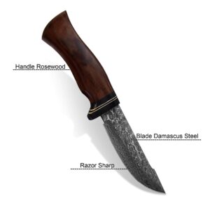 HK Knives Handmade 10''Hunting Knife,Forged Damascus for men,Bushcraft knife with Non-Slip Walnut Wood Handle & Leather Sheath,Damascus best Outdoor Indoor Camping,Survival,Skinning, Rose wood, 5x5