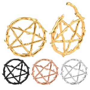 DOEARKO 2PCS Pentagram Ring Ear Weights for Stretched Ears Gauges Ear Plugs Body Piercing Tunnels 316 Stainless Steel Hypoallergenic Body Jewelry (4mm(6G), Black)