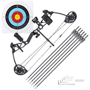 AW Youth Compound Bow Kit 16 to 28 Lbs Draw Weight Arrows Archery Outdoor Hunting, for Teenagers Young Archers or Beginners