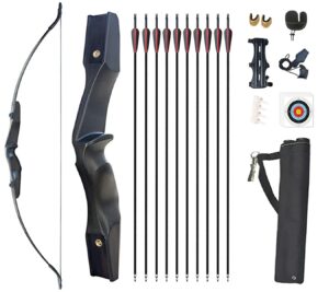 monsour archery 53" takedown recurve bow and arrows set for adults metal riser longbow kit right hand straight bow for beginner hunting shooting practice 30 40lb （30lb）