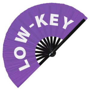 Low-Key Hand Fan Foldable Bamboo Circuit Rave Hand Fans Slang Words Fan Outfit Party Gear Gifts Music Festival Rave Accessories (Purple)