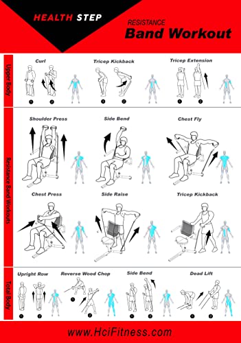 Health Step Recumbent Linear Stepper