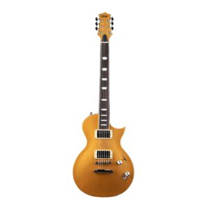 EART EGLP-620 6 String Solid Full-Size Electric Guitar,Full-Size 39 Inch Roasted Mahogany Stainless Steel Frets India Rosewood Fingerboard, Multiple Color Selection