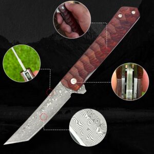 wellsure Pocket Knife Multitool Folding Knife, Survival Knife for Emergency Rescue Situations, Home Improvements Folding Pocket Knife (TYPE-7)