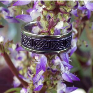 Fantasy Forge Jewelry Royal Purple Celtic Spinner Ring Stainless Steel Majestic Viking Anti Anxiety Band Sizes 5-17 Womens Mens (6)