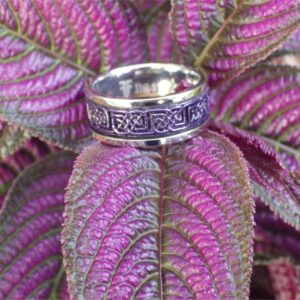 Fantasy Forge Jewelry Royal Purple Celtic Spinner Ring Stainless Steel Majestic Viking Anti Anxiety Band Sizes 5-17 Womens Mens (6)