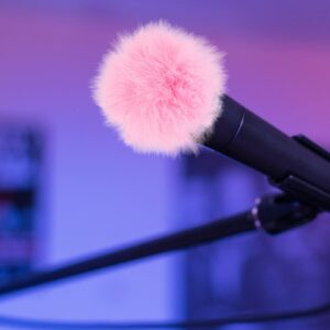 Vaguelly 2pcs Microphone Furry Windscreen Furry Microphone Cover for Headset Pink Microphone Sleeve Mic Cover Replacement Microphone Shield Protection for Microphone Accessories Pink