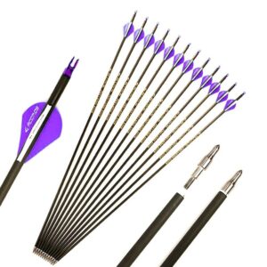 12pc ID 6.2mm .244" Custom Length 22-30 Inch Carbon Arrows Spine 350 400 500 600 Target Practice & Hunting Arrow Rotatable Nock for Recurve Bow Compound Bow Adult Youth Shooting Purple