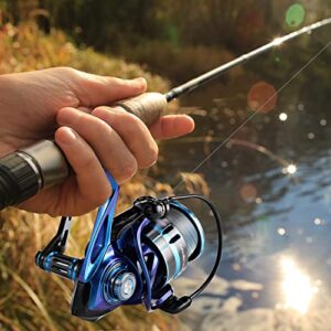 Cadence CR7 Spinning Rod and Primo Spinning Reel