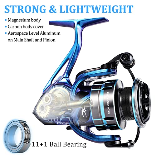 Cadence CR7 Spinning Rod and Primo Spinning Reel