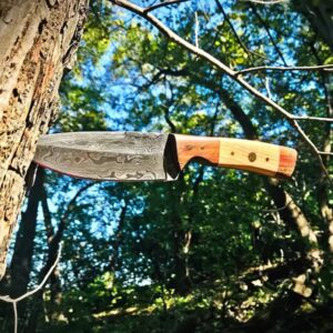 Titan International Knives 8.2" Damascus Steel Fixed Blade Hunting Knife | Handmade 1095 4340 Carbon Mix Hand Pounded | EDC Black Walnut and Olive Wood Handle | Leather Sheath Multi Purpose Survival and Camping Knives