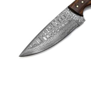 Titan International Knives 8.2" Damascus Steel Fixed Blade Hunting Knife | Handmade 1095 4340 Carbon Mix Hand Pounded | EDC Black Walnut and Olive Wood Handle | Leather Sheath Multi Purpose Survival and Camping Knives