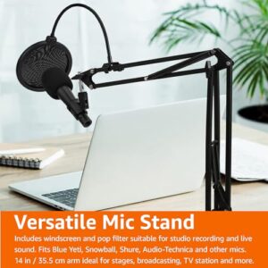 Amazon Basics Heavy-Duty Microphone Desk Arm Stand All-in-One Kit, with Adjustable Boom, Pop Filter, and Windscreen, for Blue Yeti, Snowball, Shure, Audio-Technica, and other Mics - 14 inch