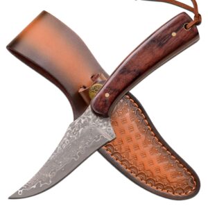 elk ridge - outdoors fixed blade knife - genuine damascus stainless steel blade, rose wood handle, full tang construction, includes leather sheath, hunting, camping, survival - er-299rdm, brown