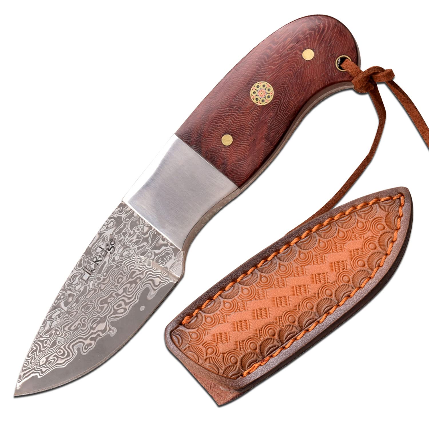 Elk Ridge - Outdoors Fixed Blade Knife - Genuine Damascus Stainless Steel Blade, Rose Wood Handle, Full Tang Construction, Includes Leather Sheath, Camping, Survival - ER-111RDM, Brown/Polished