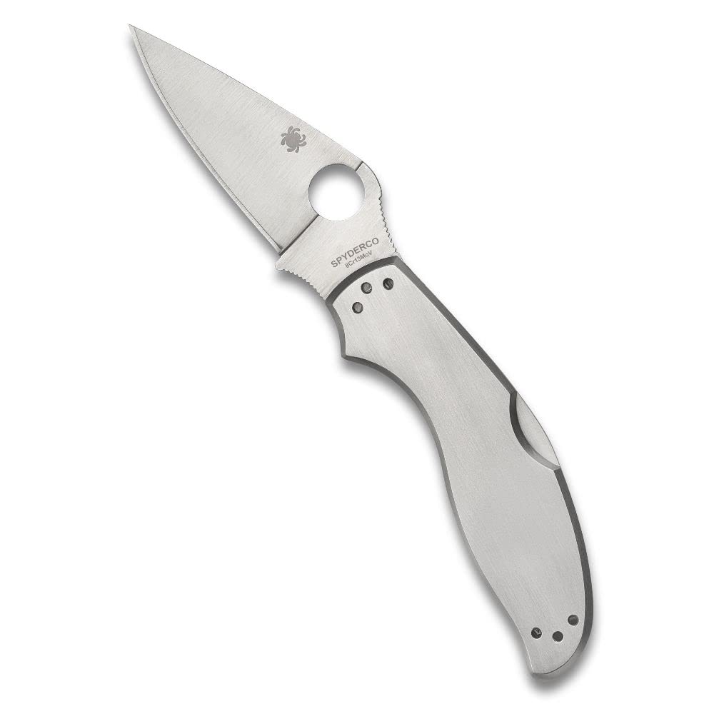 Spyderco Uptern Non-Locking Pocket Knife with 8Cr13MoV Steel Blade and Stainless Steel Handle - PlainEdge - C261P