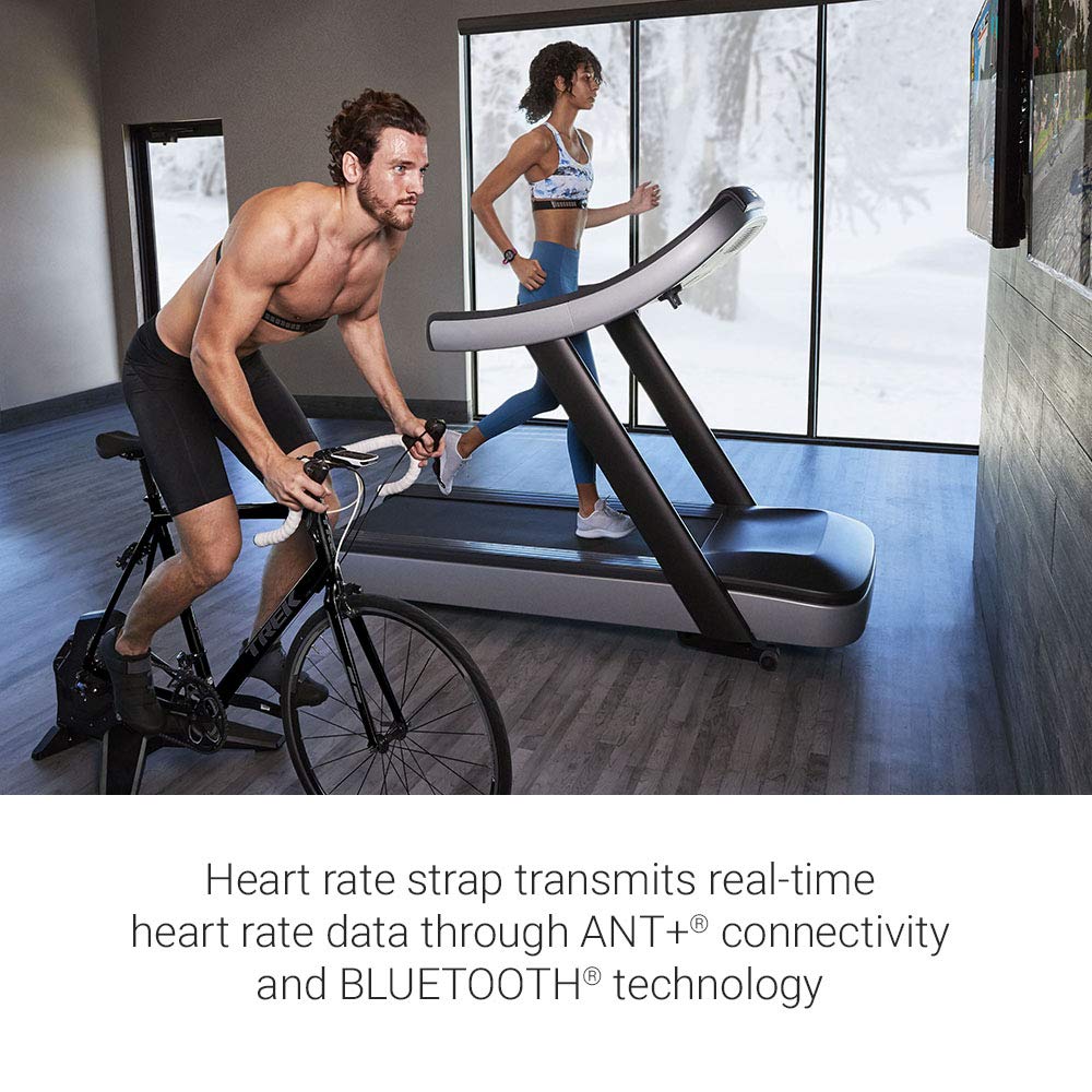 Concept2 SkiErg Indoor Ski Machine with PM5 Monitor | Adjustable Air Resistance with Garmin HRM-Dual Heart Rate Monitor | ANT+ and Bluetooth Connectivity with Signature Series Resistance Band