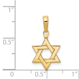 Auriga Fine Jewelry 14k Yellow Gold Polished Star of David Pendant Gift for Women