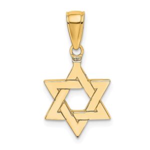 Auriga Fine Jewelry 14k Yellow Gold Polished Star of David Pendant Gift for Women