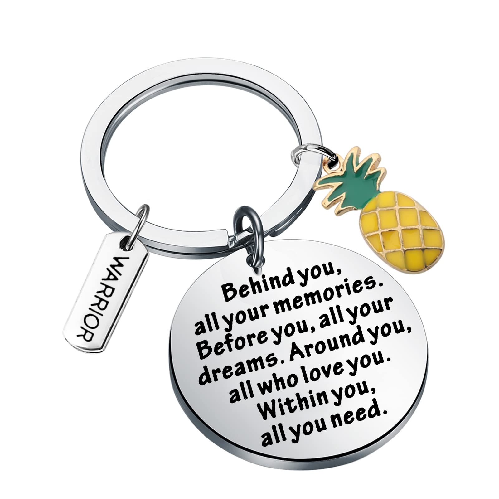 FEELMEM IVF Pineapple Gifts Infertility Warrior Gift Behind You All Your Memories Before You All Your Dreams Keychain IVF Gift for Infertility Mom (Pineapple-ky)