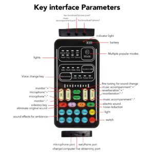 Voice Changer, Portable Voice Disguiser Mini Voice Changer Device with 8 Sound Effects and Sound Changes Handheld Microphone Voice Changer Sound Effects Machine(I9 English Edition)