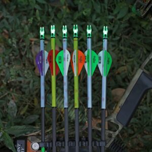 DEEPOWER S Lighted Nocks for Arrows .244/6.2mm 6/12 Pack Lighted Arrow Nocks for Archery Hunting (6, Green)