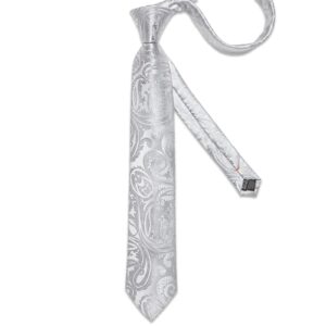 DiBanGu Silver Tie Paisley Ties for Men Tie and Pocket Square Set Tie Accessories for Men Jacquard Woven Silk Necktie