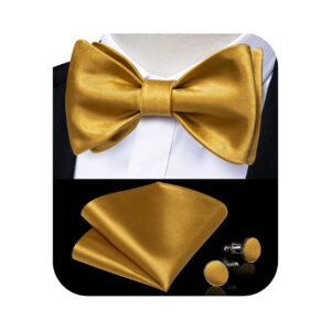 DiBanGu Gold Bow Ties for Men Self Tie Bow Tie and Pocket Square Set Adjustable Solid Satin Formal Tuxedo Bow Tie