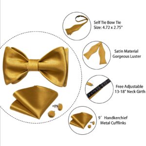 DiBanGu Gold Bow Ties for Men Self Tie Bow Tie and Pocket Square Set Adjustable Solid Satin Formal Tuxedo Bow Tie