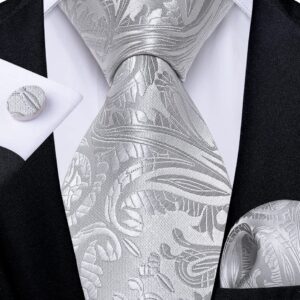 DiBanGu Silver Tie Paisley Ties for Men Tie and Pocket Square Set Tie Accessories for Men Jacquard Woven Silk Necktie