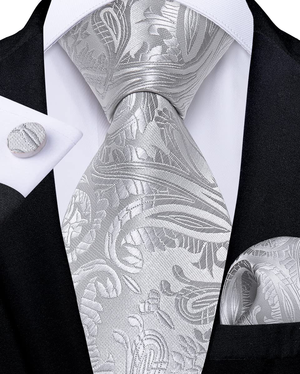 DiBanGu Silver Tie Paisley Ties for Men Tie and Pocket Square Set Tie Accessories for Men Jacquard Woven Silk Necktie