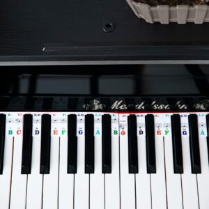 Piano Keyboard Stickers, 88 Full-Size Piano Rake Key Labels Overlay Removable for Beginners Kids (Colorful)