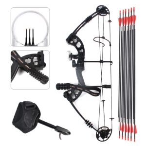 30-60lbs Battleship Compound Bow and 12Pcs Arrows for Adults and Teens, Hunting Bow Youth Compound Bow Hunting Set, 24"-29.5" Draw Distance, Up to IBO 310 fps, USA Stock