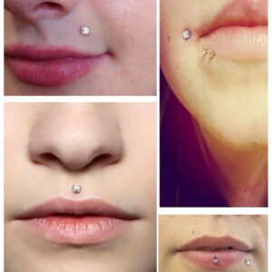 Vsnnsns 14G Lip Rings Stainless Steel Labret Jewelry Monroe Lip Rings Nail Cartilage Tragus Helix Earrings Studs Piercing Jewelry Medusa Piercing Jewelry For Women Men 14 Gauge Earrings 3MM CZ Silver