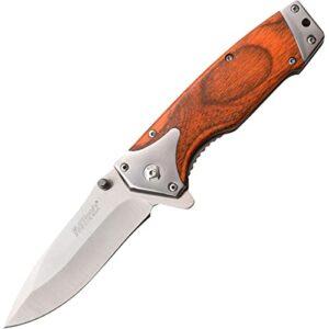 MTECH USA MT-A1175BR: Spring Assisted Knife