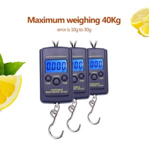 Fish Scale with Backlit LCD Display, Waterproof Fish Scale Digital Up to 88lb/40kg, Portable Hanging Fish Weight Scale for Home, Farm, Outdoor, Hunting, Fishing