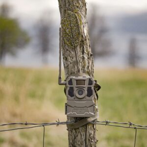 TACTACAM Reveal X Gen 2.0 LTE Cellular Trail Camera AT&T and Verizon, HD Video, HD Photo, Low Glow IR LED Flash (TA-TC-XG2) for Hunting, Security, Surveillance Gen 2