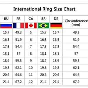 Stackable Wedding Bands Rings for Women Engagement Round Cut Zircons Women Wedding Rings Jewelry Rings for Woman Full Diamond Ladies Ring Statement Rings Jewelry Accessory Gifts (Black, 10)