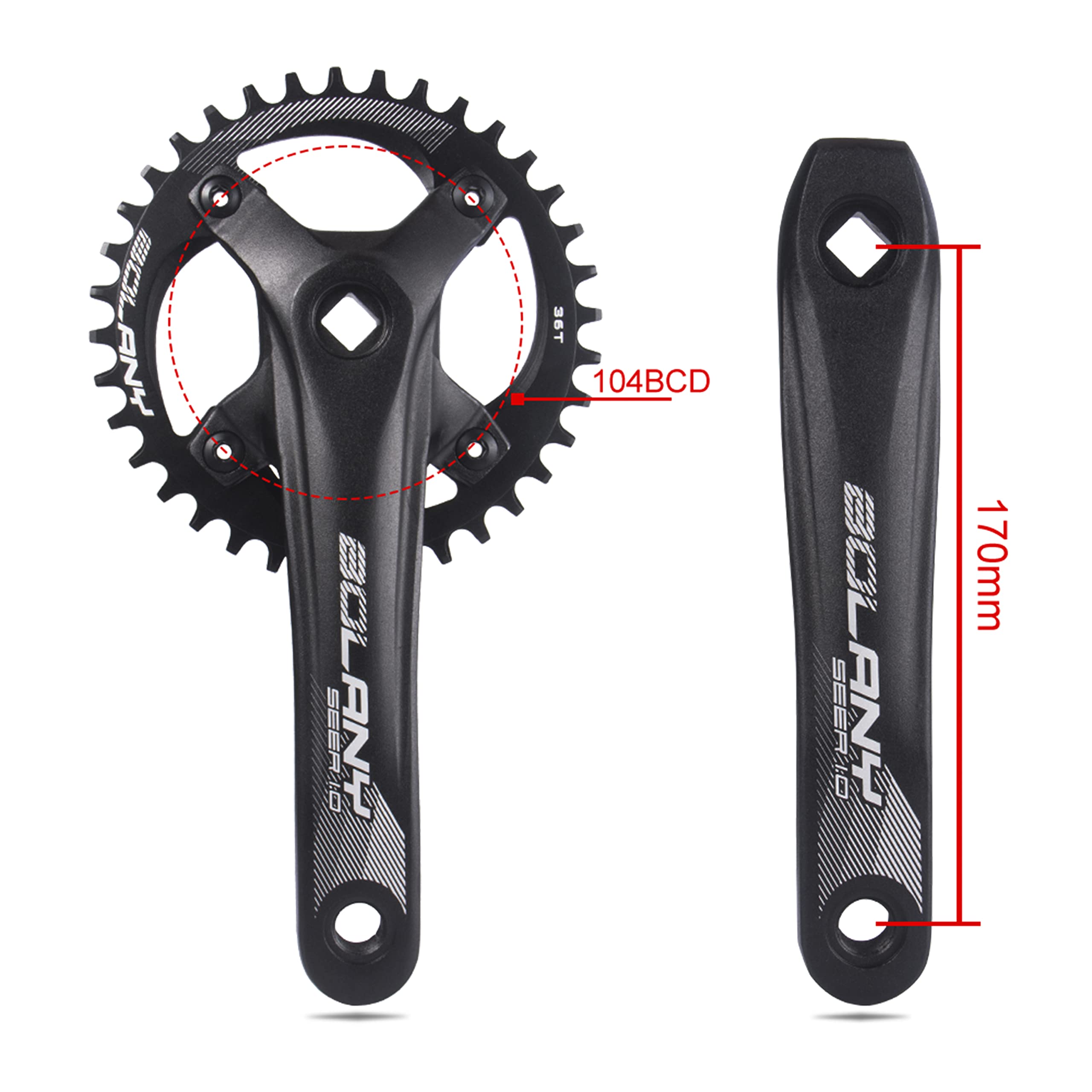 BOLANY MTB 170mm Square Taper Crankset 104BCD Narrow Wide Tooth Chainring with 32T/34T/36T /38T/40T/42T Mountain Bike Single Round Chainring and Crankset (34T)