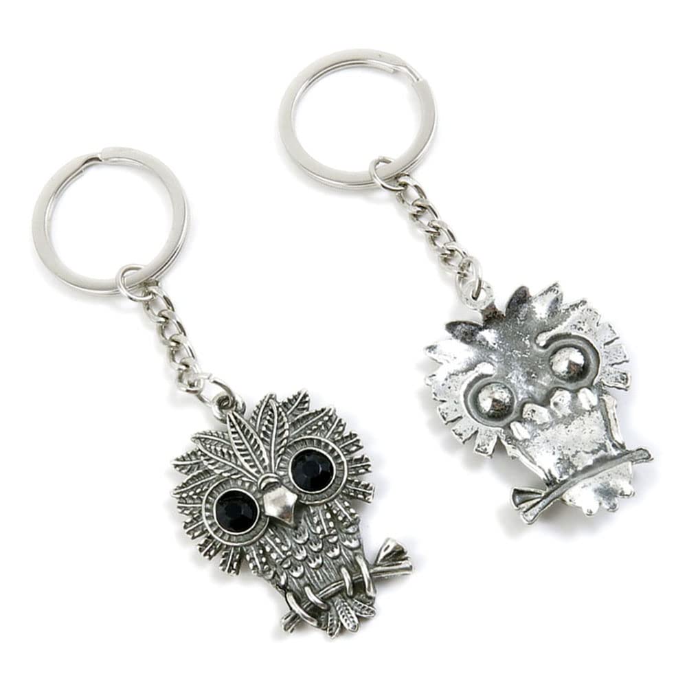 100 Pieces Keychain Keyring Door Car Key Chain Ring Tag Charms Supplies Q8CE8Y Cartoon Owl