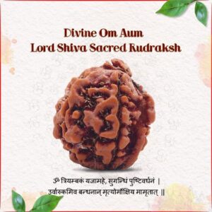 Vedic Vaani Natural Divine Sacred Om Aum Lord Shiva Rudraksh (1 Pcs)