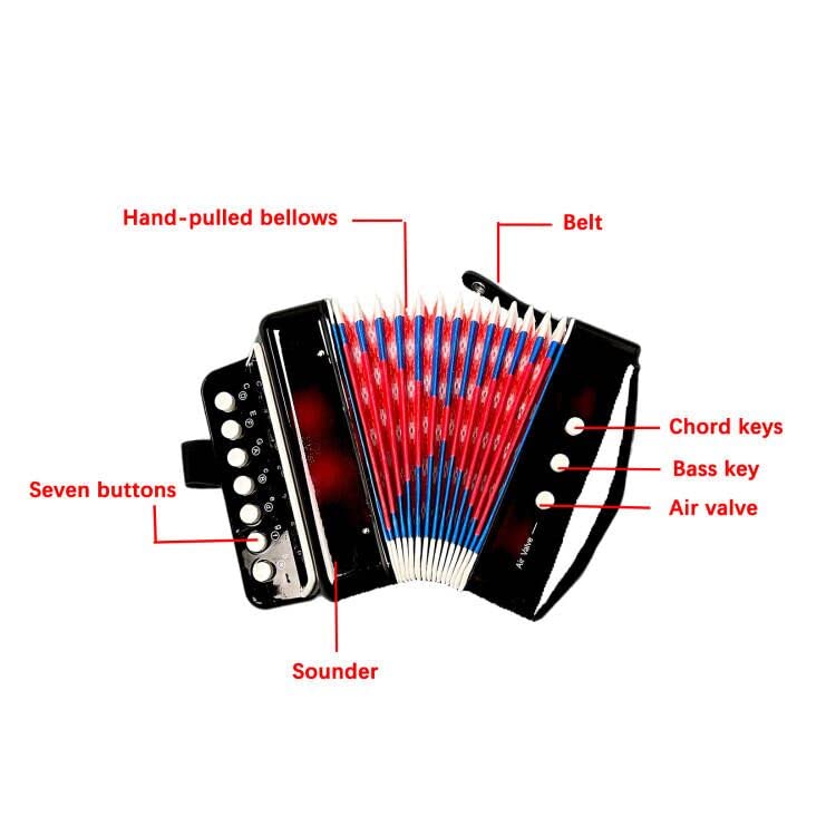 BORIYAM Mini Accordion Instrument, 10-Key Control Button, Christmas Performance & Family Music Educational Instrument (Black)