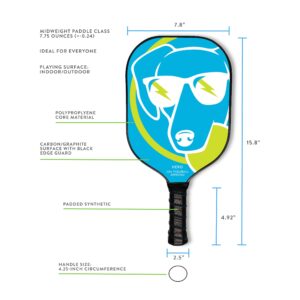 Pickleball Paddle by Swinton Pickleball with Durable Graphite Face and Premium Plush Grip (Blue)