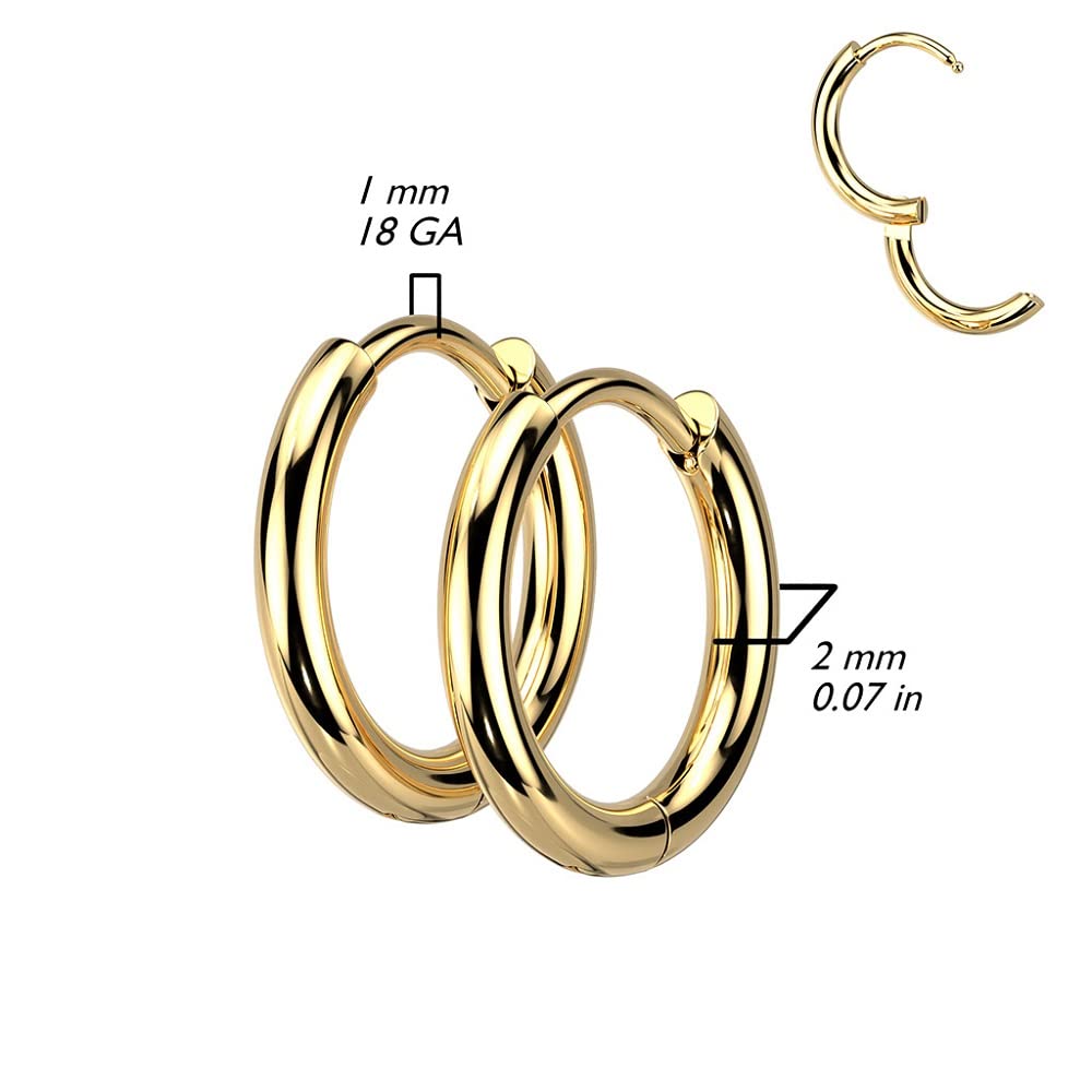 18GA 316L Stainless Steel 2mm Thick Hinged Round Hoop Earrings, Sold as a Pair (8mm Diameter, Black)