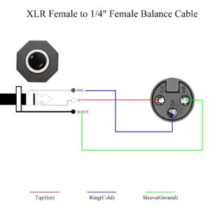 QIANRENON XLR Female to 1/4" Female Balance Cable Adapter TRS 6.35mm to XLR 3 Pin Mono Audio Connect Convert Interconnect Cable 36cm/14.2in