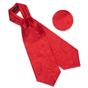 DiBanGu Red Ascot Ties for Men Paisley Cravat for Men 100% Silk Woven Mens Cravat Tie and Pocket Square Set